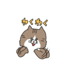 なかよしなネコとトリ（個別スタンプ：17）