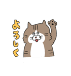 なかよしなネコとトリ（個別スタンプ：23）