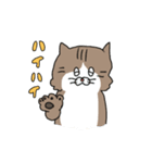 なかよしなネコとトリ（個別スタンプ：29）