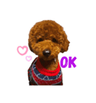 SHELLY⸜❤︎⸝‍（個別スタンプ：3）
