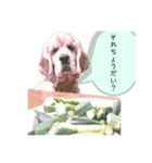 アメコカおじいちゃん（個別スタンプ：3）