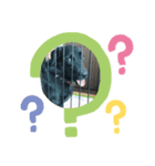 犬スタンプ2222（個別スタンプ：5）
