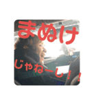 ゆうみがつかう（個別スタンプ：3）