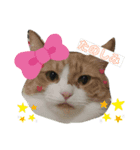 からあげは猫の名前です。part1（個別スタンプ：4）