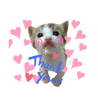 からあげは猫の名前です。part1（個別スタンプ：8）