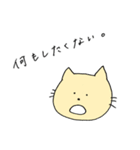 IQ低めのにゃんきち（個別スタンプ：23）