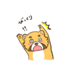 レッサーパンダ鼻子（個別スタンプ：14）
