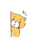 レッサーパンダ鼻子（個別スタンプ：15）