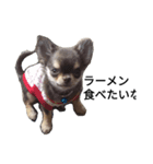 犬はなこ（個別スタンプ：6）
