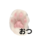 じぇりー様③（個別スタンプ：1）