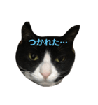 じぇりー様③（個別スタンプ：5）