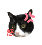 じぇりー様③（個別スタンプ：7）