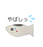 かつおです（個別スタンプ：4）