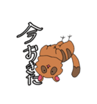 たぬきちゃんβ（個別スタンプ：12）