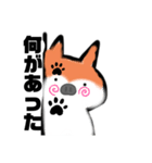 黒猫さんとしば犬さん！ペンギンも1匹いる（個別スタンプ：14）