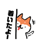 黒猫さんとしば犬さん！ペンギンも1匹いる（個別スタンプ：16）