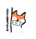 黒猫さんとしば犬さん！ペンギンも1匹いる（個別スタンプ：22）