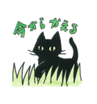 黒猫 ノアール・にゃんきち（個別スタンプ：3）