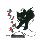 黒猫 ノアール・にゃんきち（個別スタンプ：19）