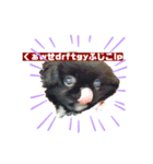 愛犬と愛ハム（個別スタンプ：1）