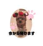 ルイの日常言葉スタンプ（個別スタンプ：7）