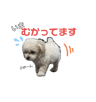 らる part3（個別スタンプ：5）