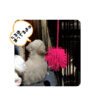 らる part3（個別スタンプ：7）
