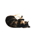 みろくなおき（個別スタンプ：6）