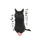 くろねこRuU 1（個別スタンプ：3）