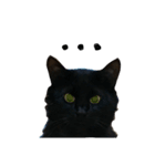 くろねこRuU 1（個別スタンプ：7）