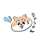 関西のしばけん（個別スタンプ：3）
