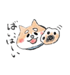 関西のしばけん（個別スタンプ：6）