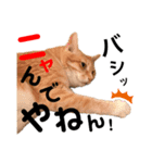 吾輩はQOOであるvol.2（個別スタンプ：4）