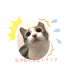 寧々と茶々（個別スタンプ：3）