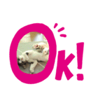 寧々と茶々（個別スタンプ：7）