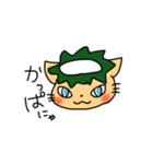 かっぱねこの日常（個別スタンプ：1）