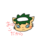 かっぱねこの日常（個別スタンプ：6）