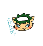 かっぱねこの日常（個別スタンプ：8）