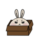 兎ち（個別スタンプ：39）