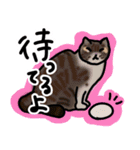 山田家用スタンプ（個別スタンプ：8）