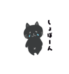 黒ねこのジジたん（個別スタンプ：20）