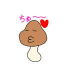 たむたけ（個別スタンプ：1）
