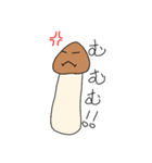 たむたけ（個別スタンプ：4）