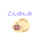 ネコすぎにはたまらない（個別スタンプ：8）