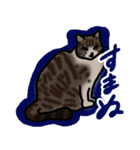 マロン＆クロエ（個別スタンプ：1）