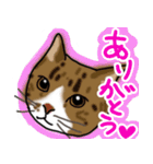 マロン＆クロエ（個別スタンプ：2）