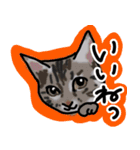 マロン＆クロエ（個別スタンプ：3）