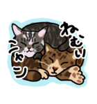 マロン＆クロエ（個別スタンプ：6）