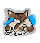 マロン＆クロエ（個別スタンプ：8）