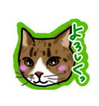マロン＆クロエ（個別スタンプ：11）